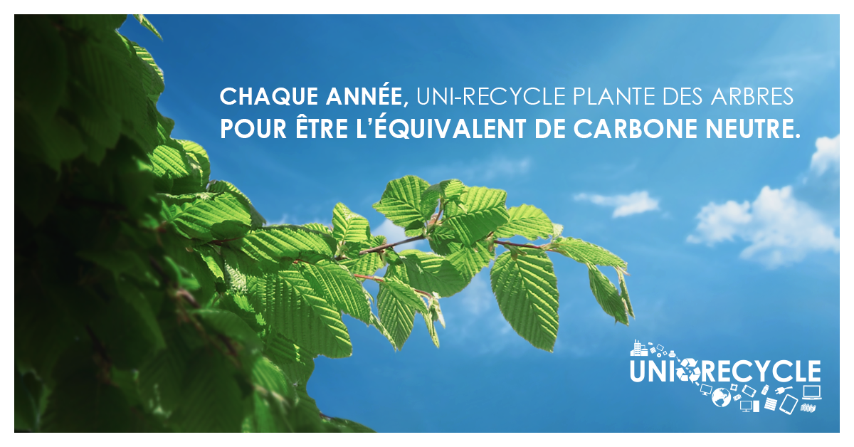 Uni-Recycle plante des arbres pour être carbone neutre